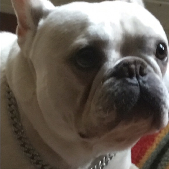 Meet your Posher, Julie - Picture 9 of 15